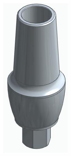 BIOPLANT, Anatomic abutment, straight, positioned