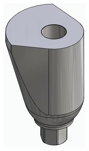 BIONIKA BIOPLANT, Delta abutment, positioned