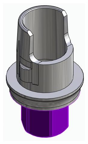 BIOPLANT, Flexi base, implant level, positioned, type-A