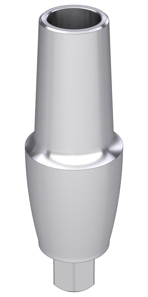 Implie, Anatomical abutment, straight