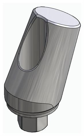 BIONIKA BIOPLANT, Narrow abutment, angled, positioned, type-A