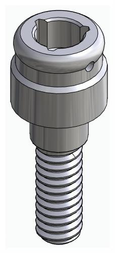 BIOPLANT, Locator abutment, straight