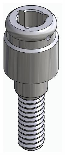 BIOPLANT, Locator abutment, straight