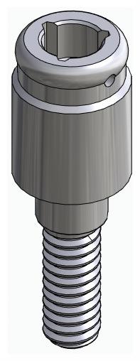 BIOPLANT, Locator abutment, straight