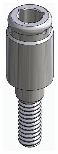 BIOPLANT, Locator abutment, straight