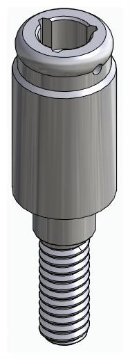 BIOPLANT, Locator abutment, straight