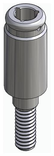 BIOPLANT, Locator abutment, straight