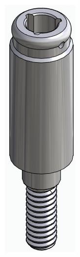 BIONIKA BIOPLANT, Locator abutment, straight
