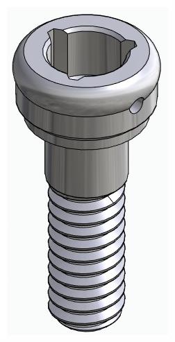 BIOPLANT, Locator abutment, straight
