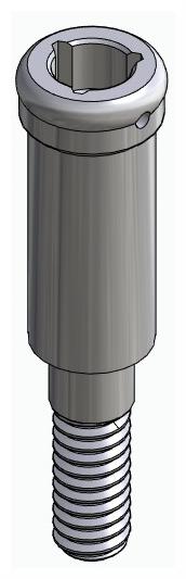 BIOPLANT, Locator abutment, straight