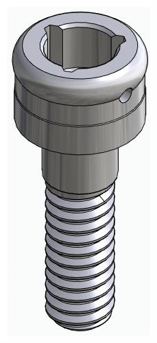 BIOPLANT, Locator abutment, straight