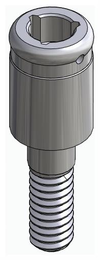 BIOPLANT, Locator abutment, straight