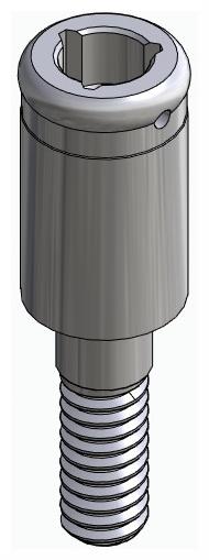 BIOPLANT, Locator abutment, straight