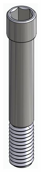 BIONIKA BIOPLANT, Scanbody through screw