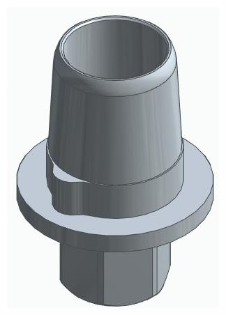 BIOPLANT, Titanium base, positioned