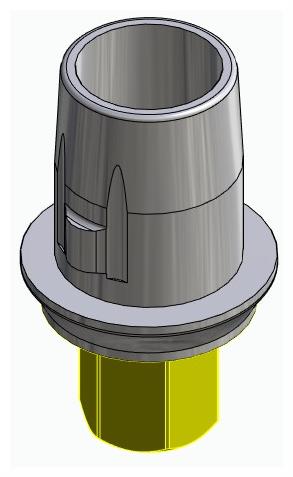 BIOPLANT, Titanium base, positioned