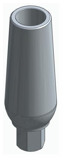 BIOPLANT, Universal abutment, straight, positioned