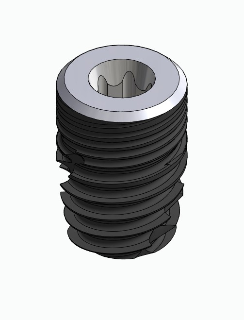 BIONIKA ECOPLANT, Implant