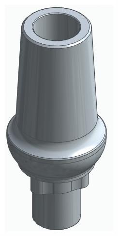 BIONIKA RP, Anatomic abutment, straight, positioned