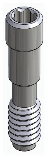 BIONIKA RP, Abutment screw, surgical
