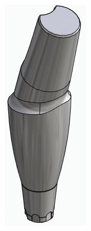 BIONIKA CX, Anatomic abutment, angled, 15°, positioned, type-A