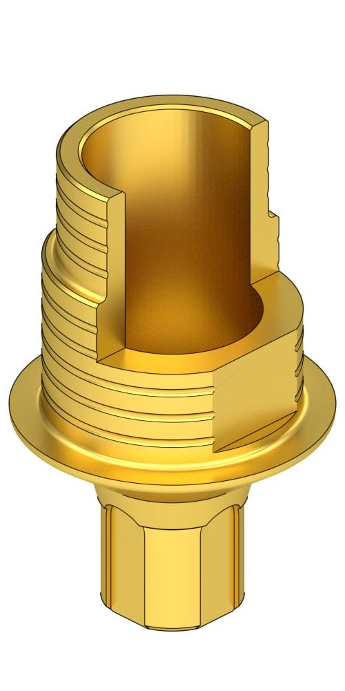 BIONIKA Bonelit Flexi (PCT) base, implant level, positioned