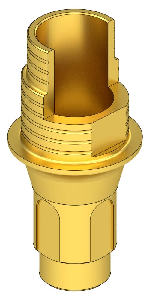 BIONIKA Bonelit Flexi (PCT) base, implant level, positioned