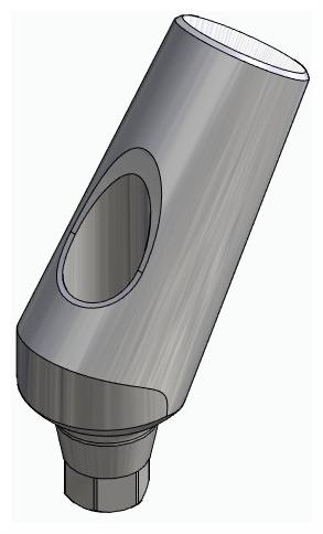 BIONIKA AS, Universal abutment, angled, positioned, type-A