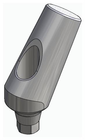 BIONIKA AS, Universal abutment, angled, positioned, type-B