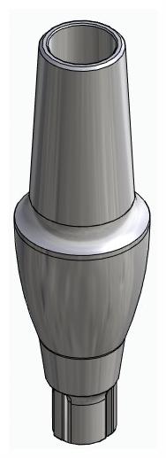 CORTILOG CCL, Anatomic abutment, straight, positioned
