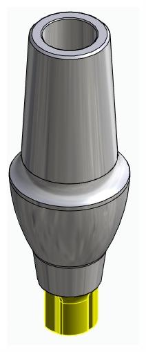 CORTILOG CCL, Anatomic abutment, straight, positioned