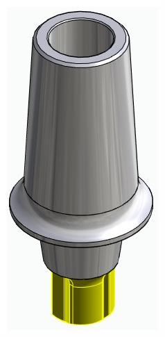CORTILOG CCL, Anatomic abutment, straight, positioned