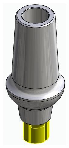 CORTILOG CCL, Anatomic abutment, straight, positioned