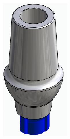 CORTILOG CCL, Anatomic abutment, straight, positioned