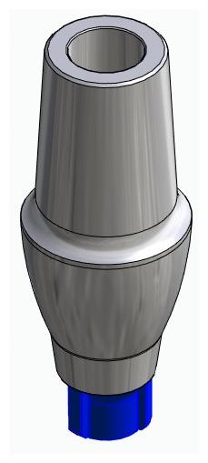 CORTILOG CCL, Anatomic abutment, straight, positioned