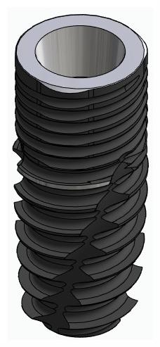 CORTILOG CCL, Implant