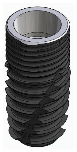 CORTILOG CCL, Implant