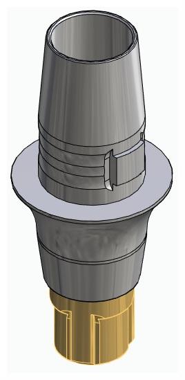 CORTILOG CCL, Titanium base, positioned