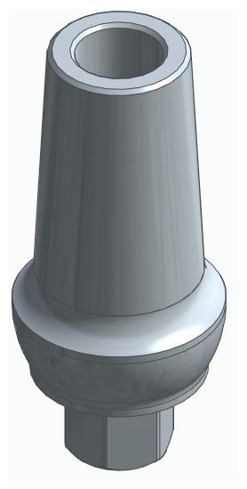 BIONIKA SI, Anatomic abutment, straight, positioned