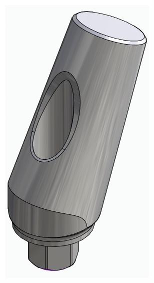BIONIKA SI, Universal abutment, angled, positioned, type-A
