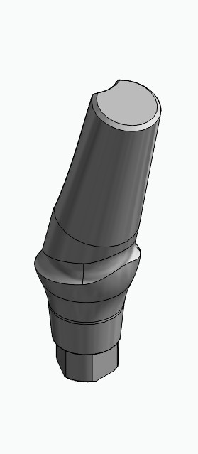 BIONIKA AG, Anatomic abutment, angled, 15°, positioned, type-A