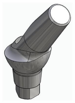 BIONIKA AG, Anatomic abutment, angled, 35°, positioned, type-A