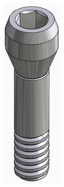 BIONIKA AG, Abutment screw, surgical