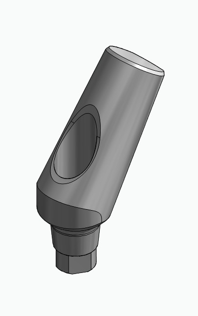 BIONIKA AG, Universal abutment, angled, positioned, type-A