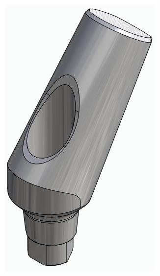 BIONIKA AG, Universal abutment, angled, positioned, type-B