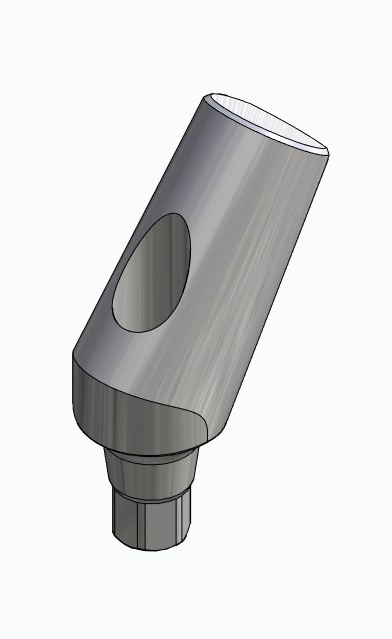 BIONIKA iSy, Universal abutment, angled, positioned, type-A