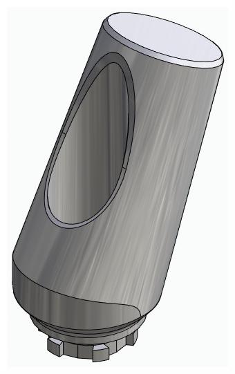 BIONIKA UP, Universal abutment, angled, positioned, type-B