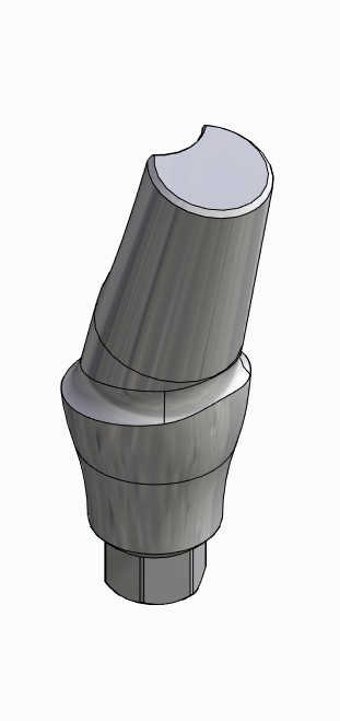 BIONIKA SD, Anatomic abutment, angled, 15°, positioned, type-B