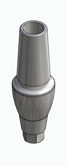BIONIKA ND, Anatomic abutment, straight, positioned