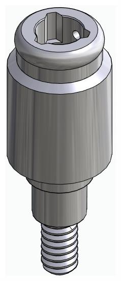 BIONIKA FR, Locator abutment, straight